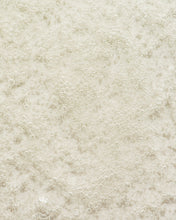 Load image into Gallery viewer, Olivella The Olive Shampoo 8.45 Oz